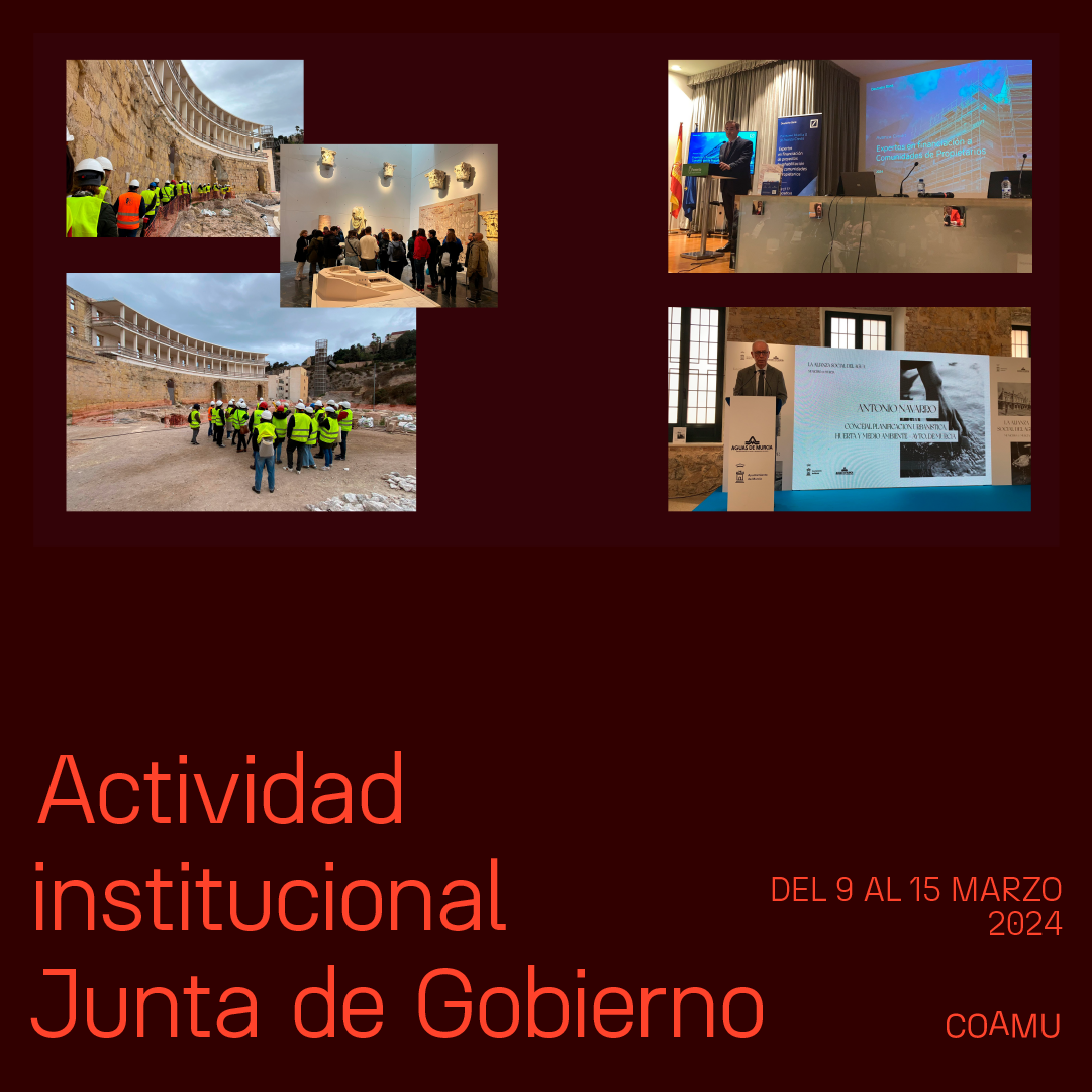 Actividad institucional junta de gobierno 11-15 marzo 2024