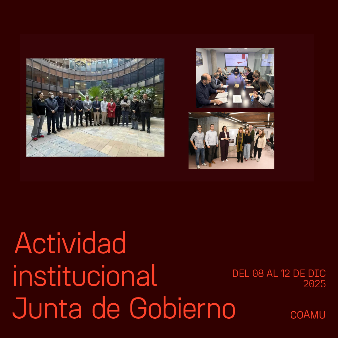 Actividad institucional junta de gobierno 9-12 diciembre
