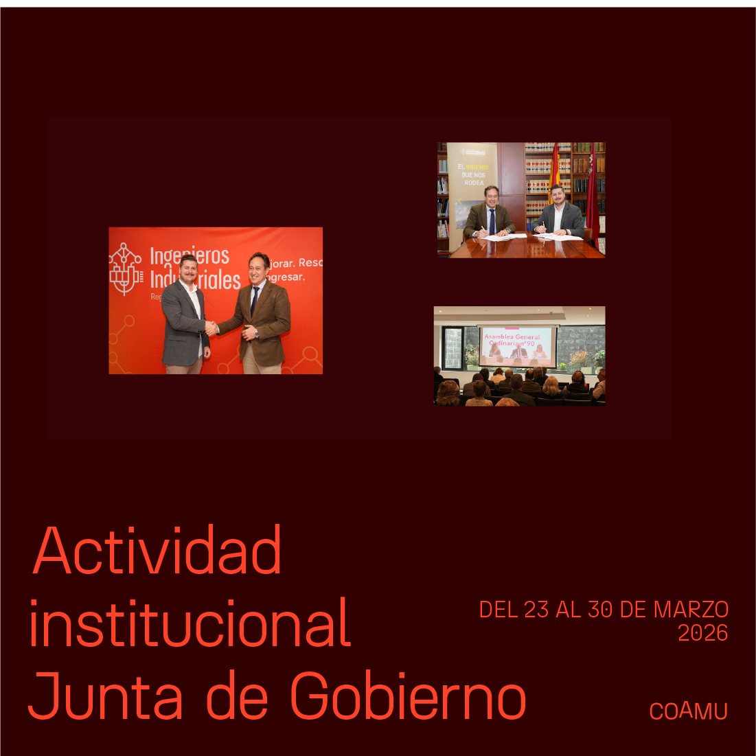 Actividad institucional junta de gobierno 23-30 marzo