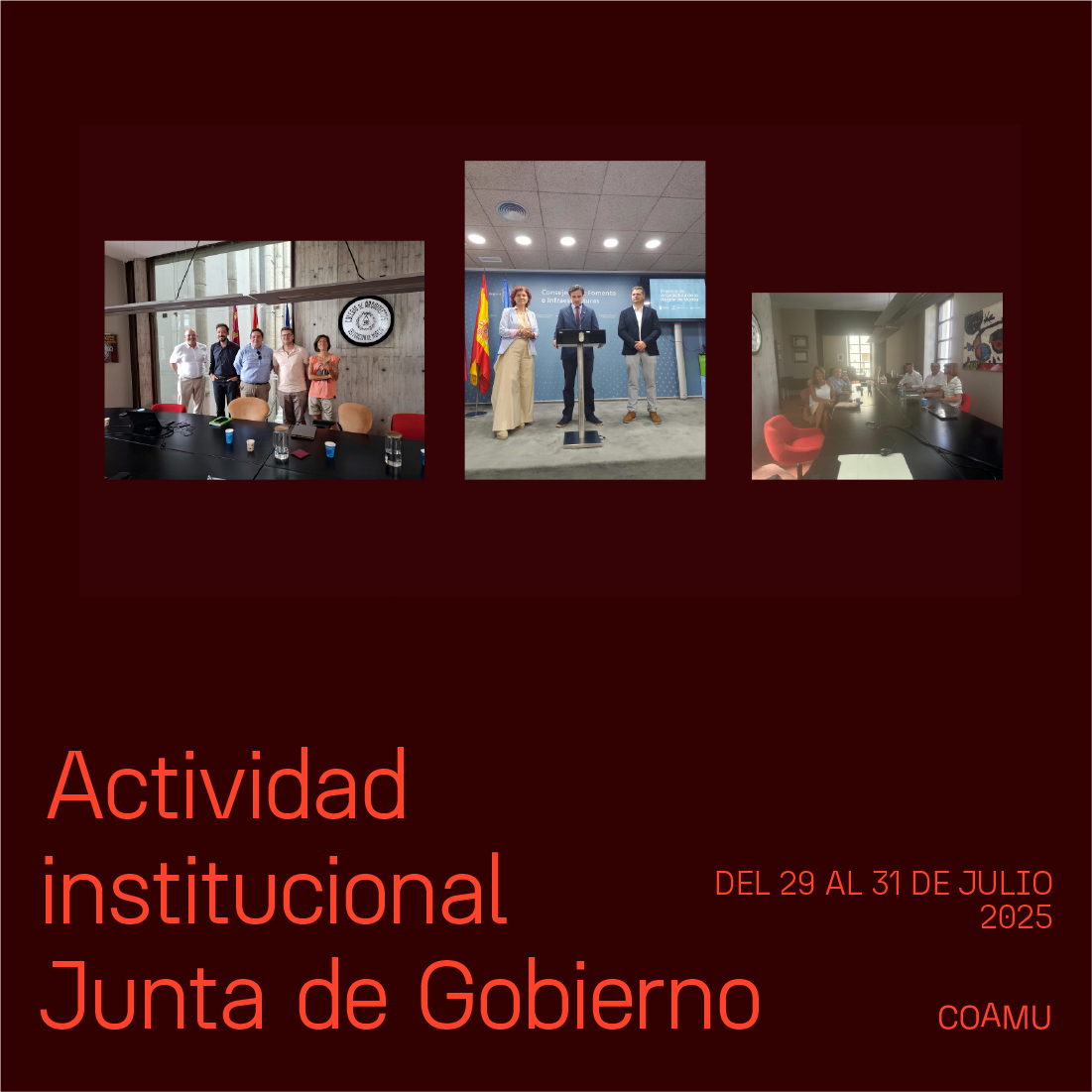 Actividad institucional junta de gobierno 28-31 de julio 2025