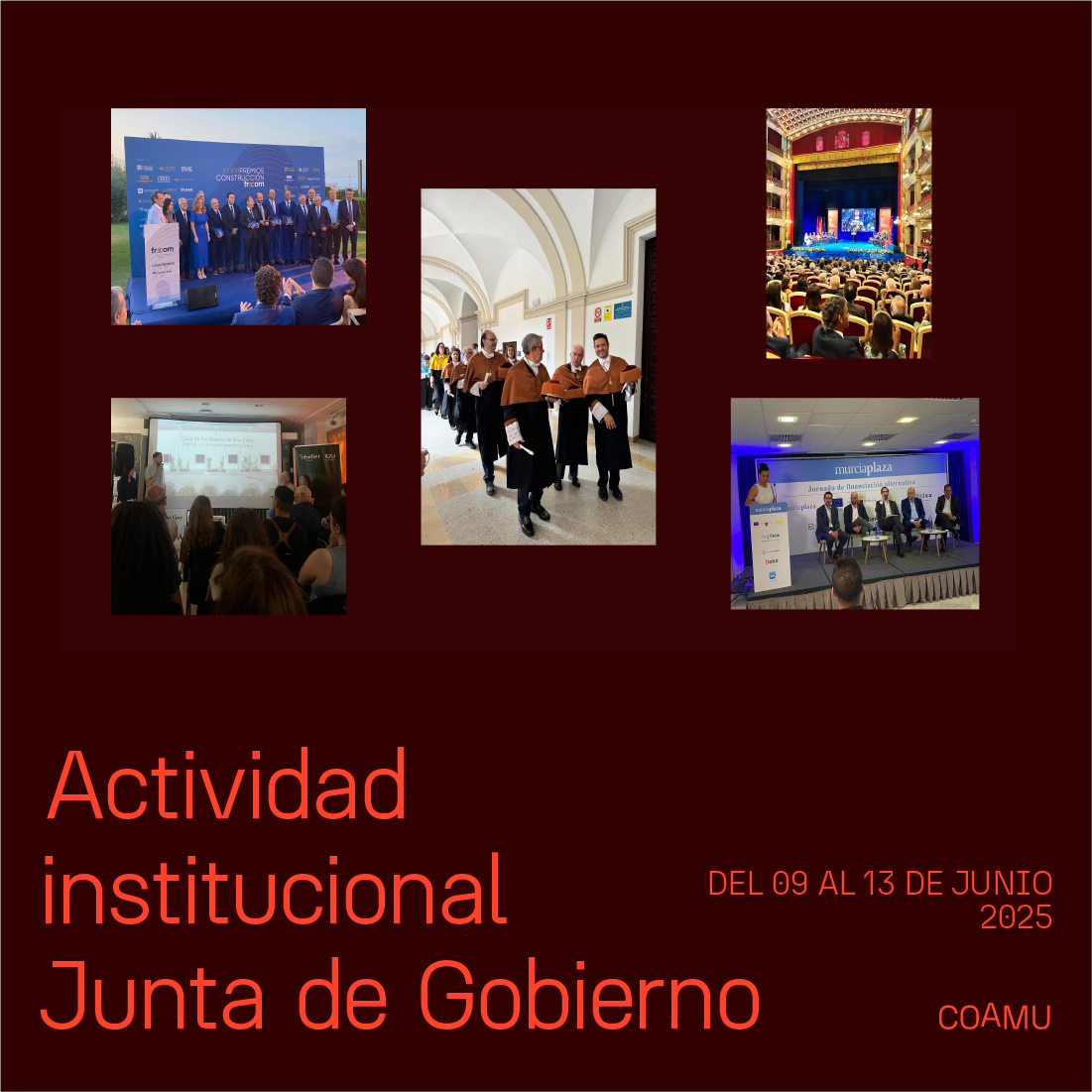 Actividad institucional junta de gobierno 09-13 de  junio 2025
