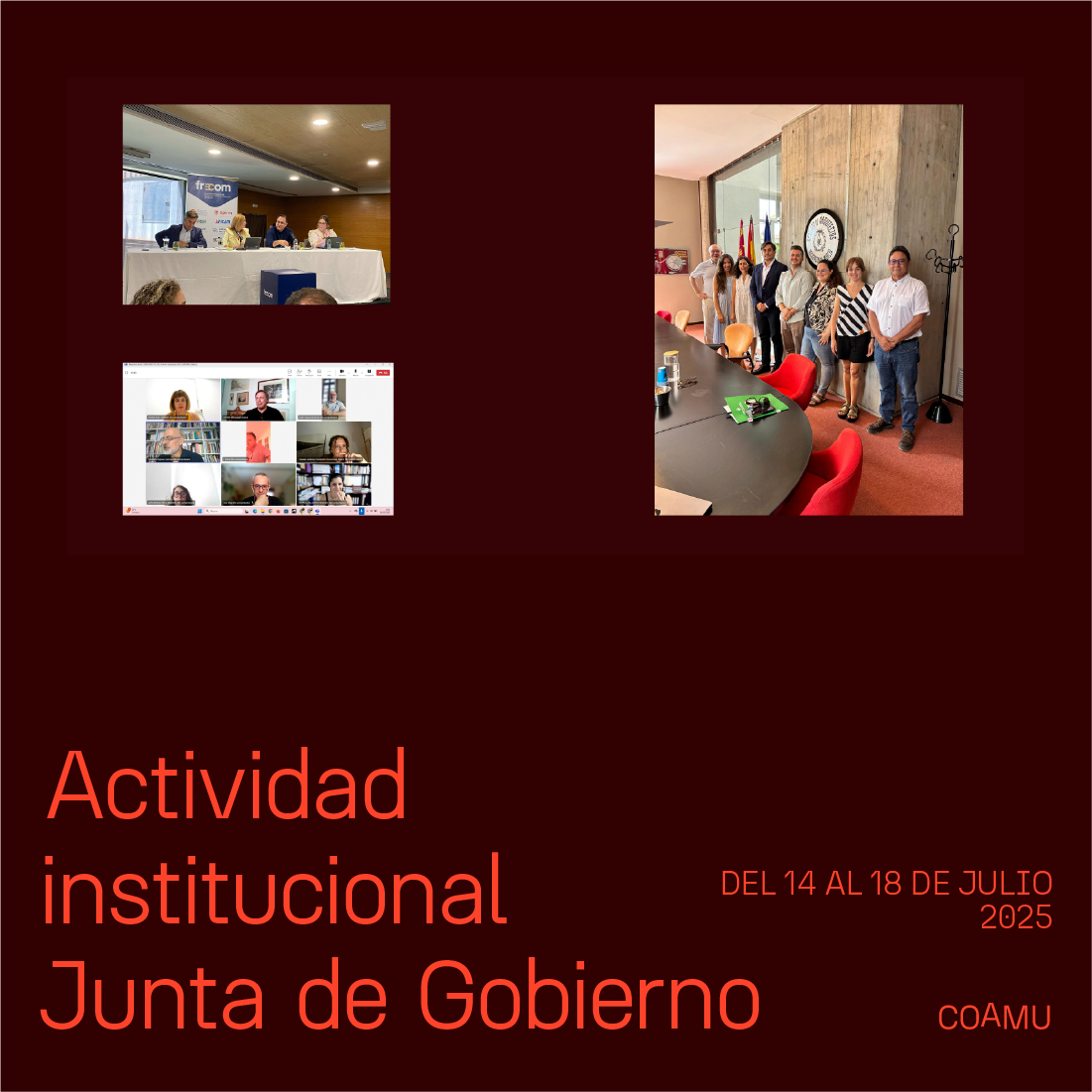 ACTIVIDAD INSTITUCIONAL JUNTA DE GOBIERNO 14-17 DE  JULIO 2025