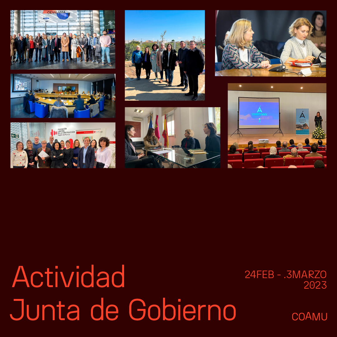 Actividad institucional junta de gobierno 24 febrero - 03 marzo 2023