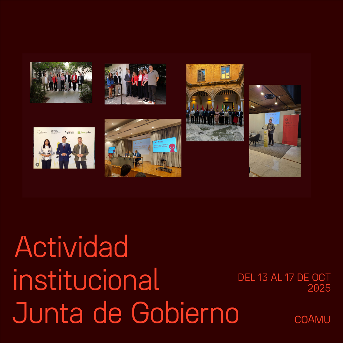 Actividad institucional junta de gobierno 13 al 17 de octubre